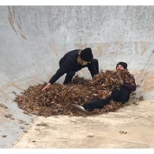 Meet your Posher, Kyle